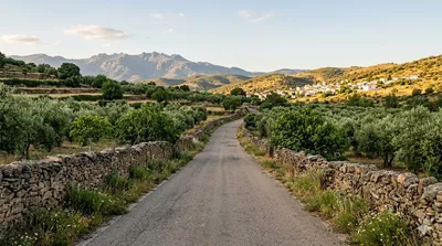 Ruta de Poyales del Hoyo a Los Molinos La Vera, 22 minutos
